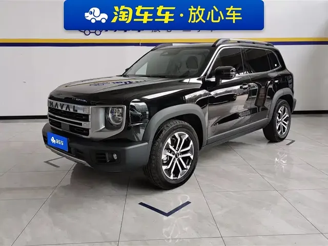 Haval Big Dog 2024 1.5T DCT Border Collie Edition