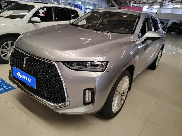 WEY P8 2018 2.0T Flagship Model
