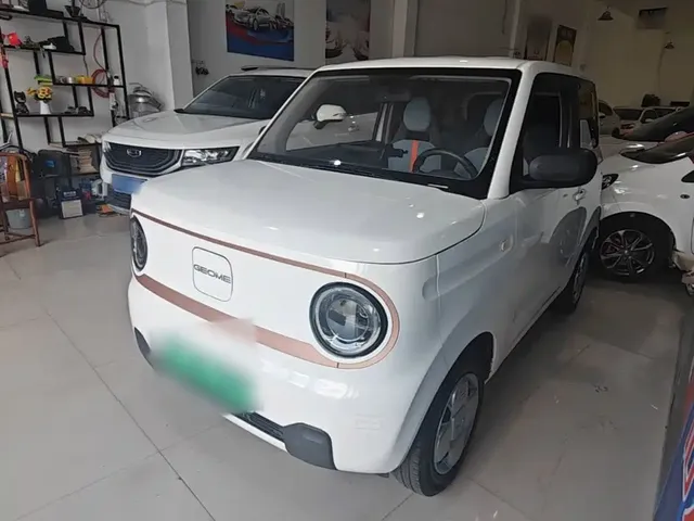 Geely Galaxy Panda 2025 Panda mini 210km Vitality Bear