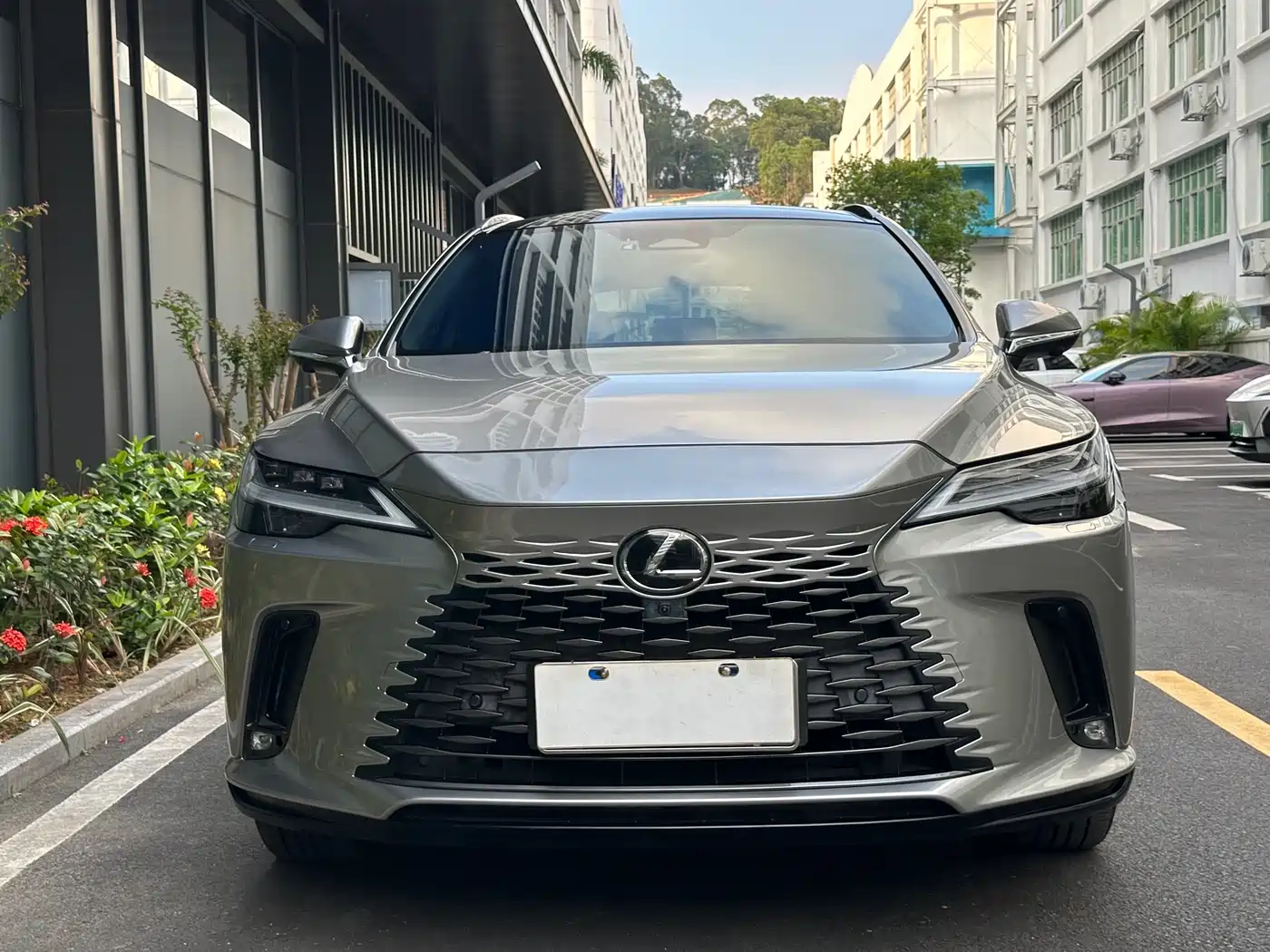 Lexus RX 2023 350h 4WD Pure Edition