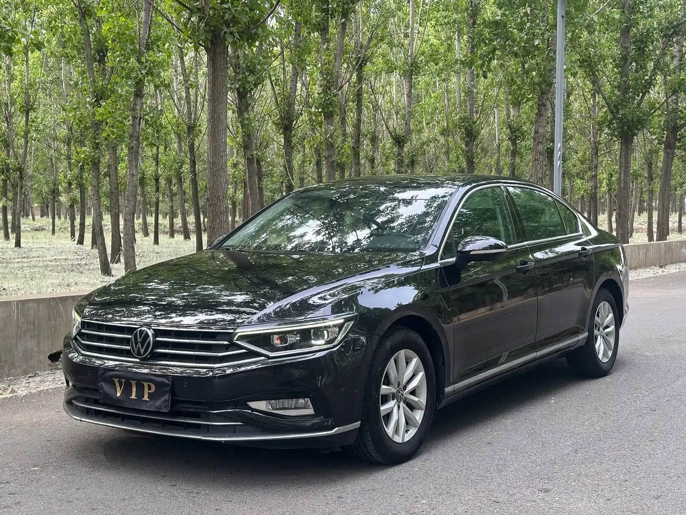 Volkswagen Magotan 2020 280TSI DSG Comfort