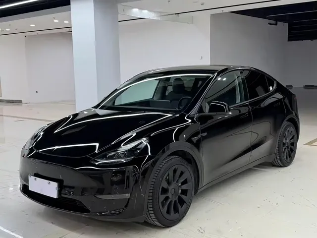 Tesla Model Y 2021 Standard Range Rear-Wheel Drive