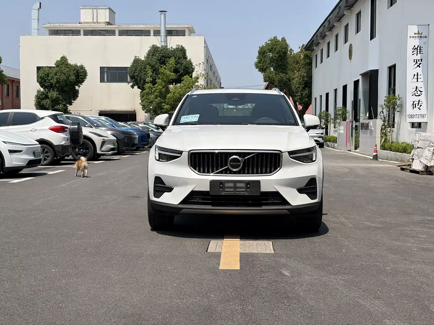 Volvo XC40 2024 B3 Smart Elite Luxury Edition
