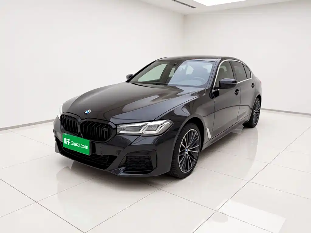 BMW 5 Series 2021 530Li Leading M Sport Package