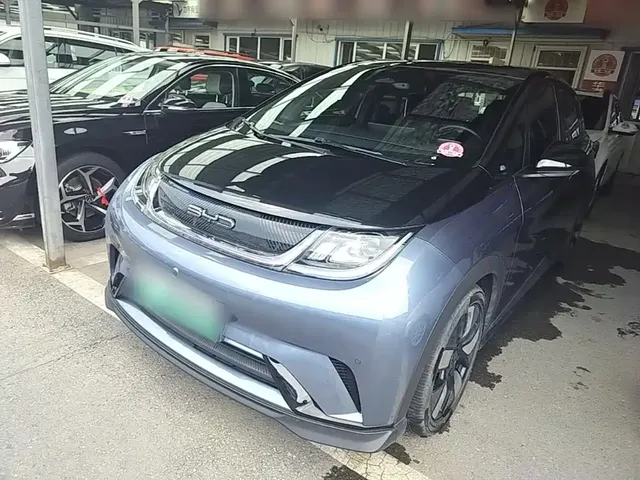 BYD Dolphin 2023 401km Knight Edition