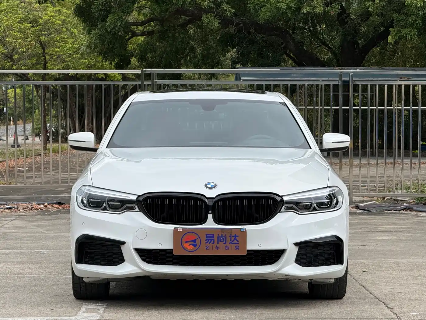 BMW 5 Series 2020 530Li Exclusive M Sport Package