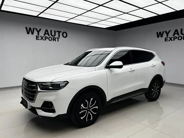 Haval H6 2021 National Trend Edition 1.5T Automatic Urban Edition