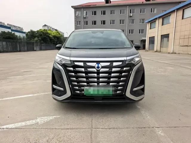 Denza D9 2024 DM-i 980 AWD Flagship