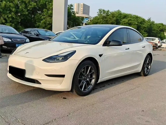 Tesla Model 3 2021 Standard Range Rear-Wheel Drive Upgrade