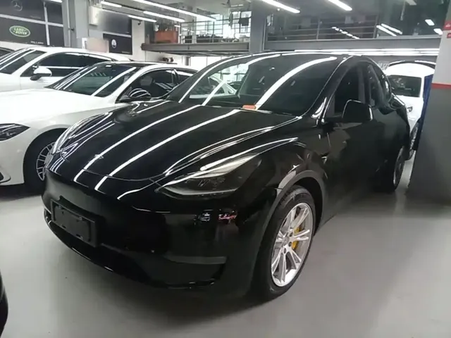 Tesla Model Y 2021 Standard Range Rear-Wheel Drive