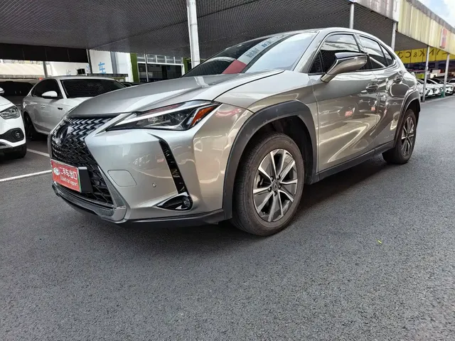 Lexus UX Electric 2020 300e Pure Yue Edition