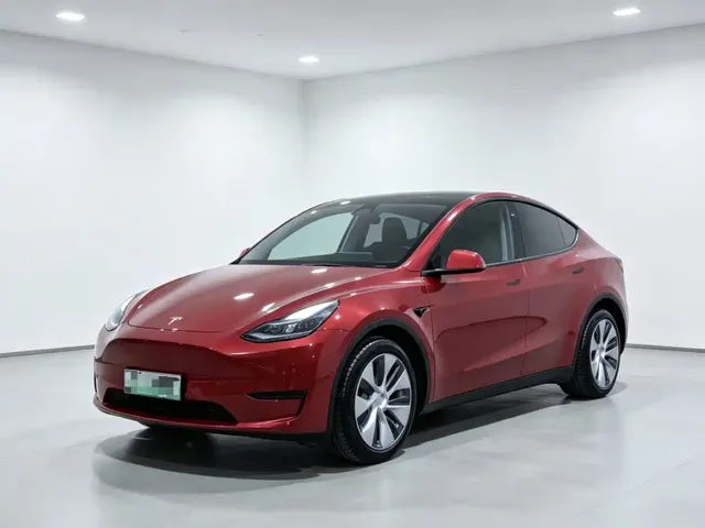 Tesla Model Y 2021 Standard Range Rear-Wheel Drive