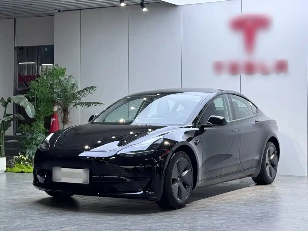 Tesla Model 3 2022 Model Rear-Wheel Drive Version
