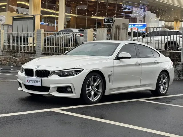 BMW 4 Series 2019 425i Gran Coupe M Sport Package