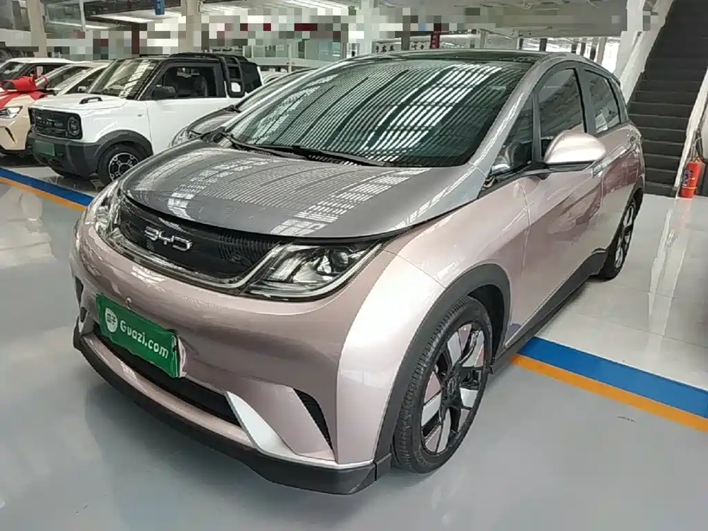 BYD Dolphin 2021 401km Knight Edition
