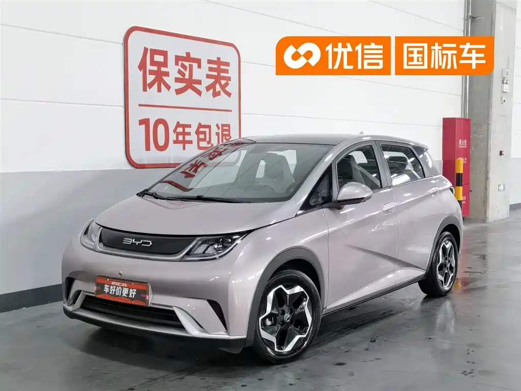 BYD Dolphin 2021 Model 405km Fashion Edition