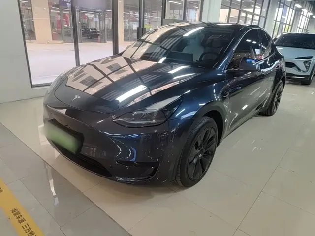Tesla Model Y 2024 Rear-Wheel Drive Version