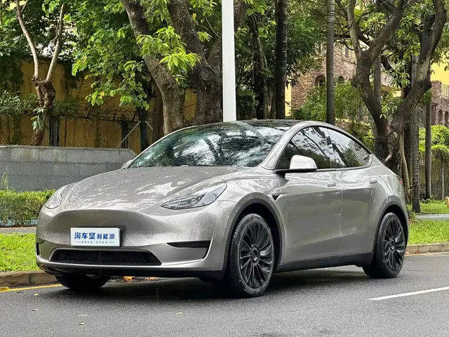 Tesla Model Y 2022 Rear-Wheel Drive Version