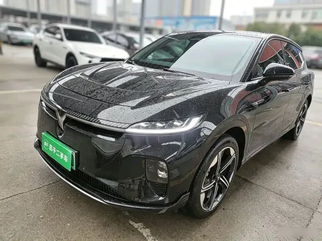 Voyah Auto Voyah Zhiyin 2024 Long Range Smart Edition