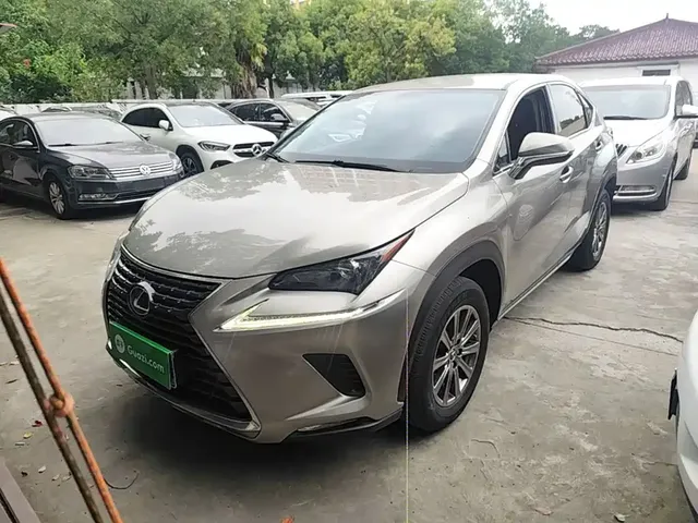 Lexus NX 2020 200 FWD Fengyi Edition China VI