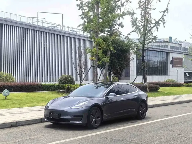Tesla Model 3 2020 Standard Range Rear-Wheel Drive Upgrade