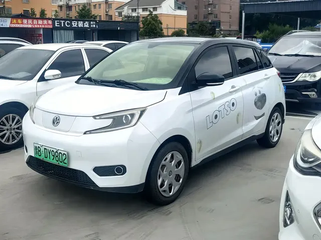 Electric House YOUNG Guang Xiaoxin 2021 S400 4-Seater