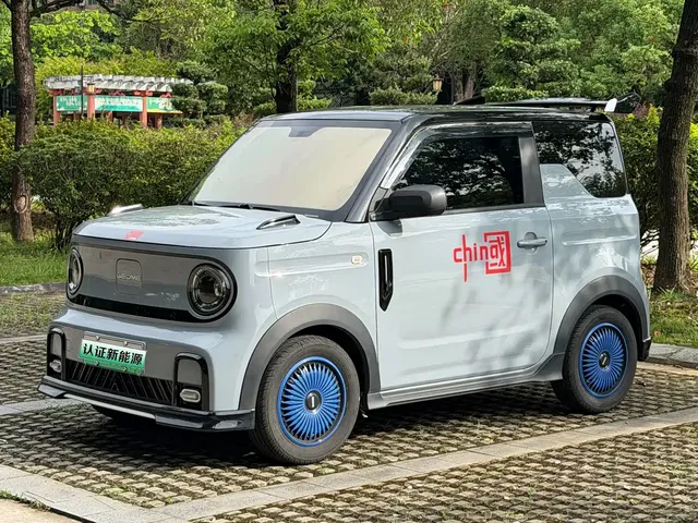 Geely Galaxy Panda 2025 Model Year 210km Panda Kart