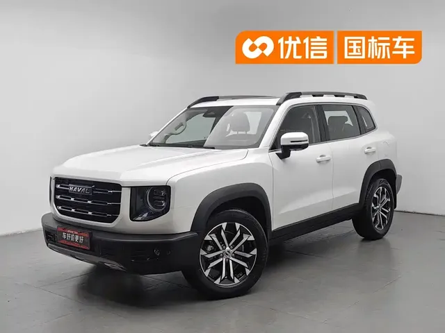 Haval Big Dog 2021 1.5T DCT 2WD Border Collie Edition