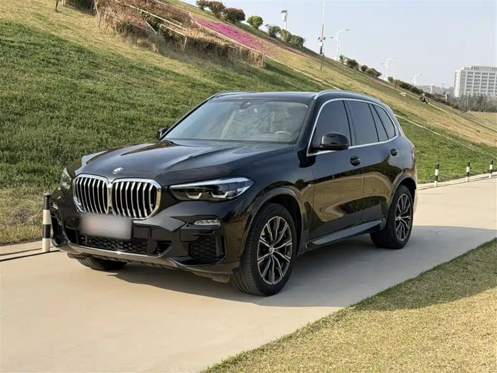 BMW X5 (Import) 2021 xDrive30i M Sport Package