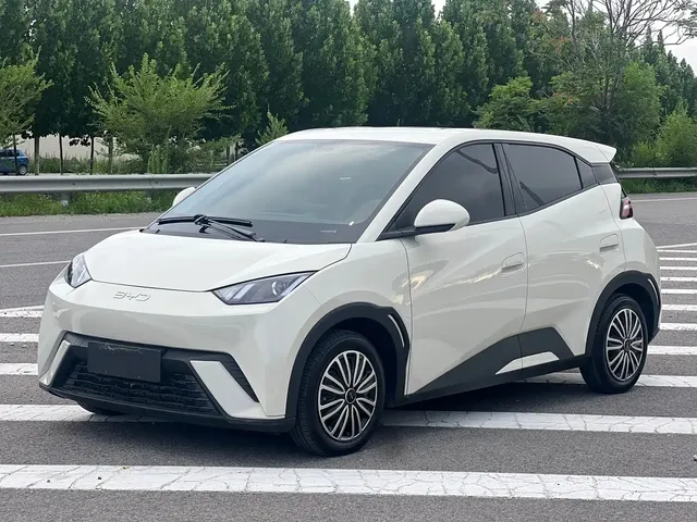 BYD Seagull 2024 Glory Edition 305km Vitality Edition