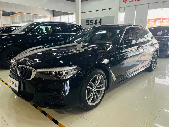 BMW 5 Series 2020 530Li Premium Luxury Package