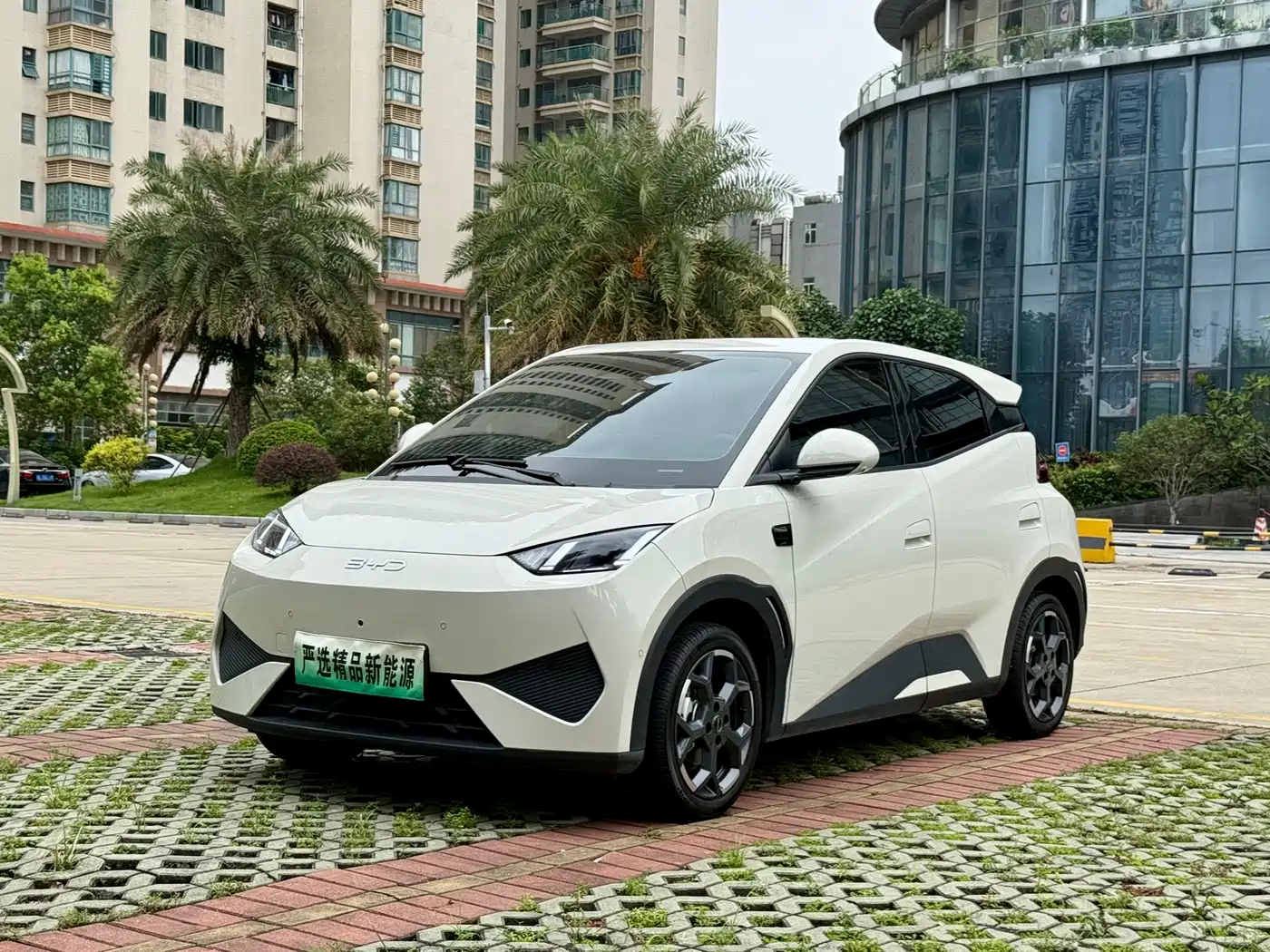 BYD Seagull 2025 Smart Drive Edition 305km Freedom Version