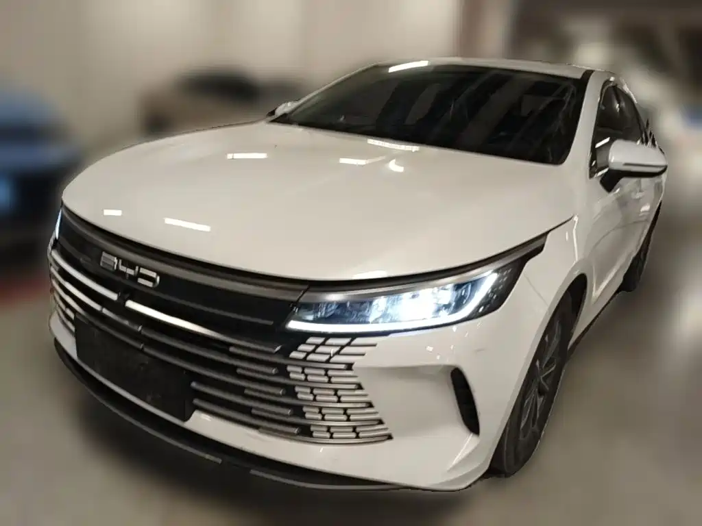 BYD Destroyer 05 2023 Champion Edition DM-i 55KM Premium