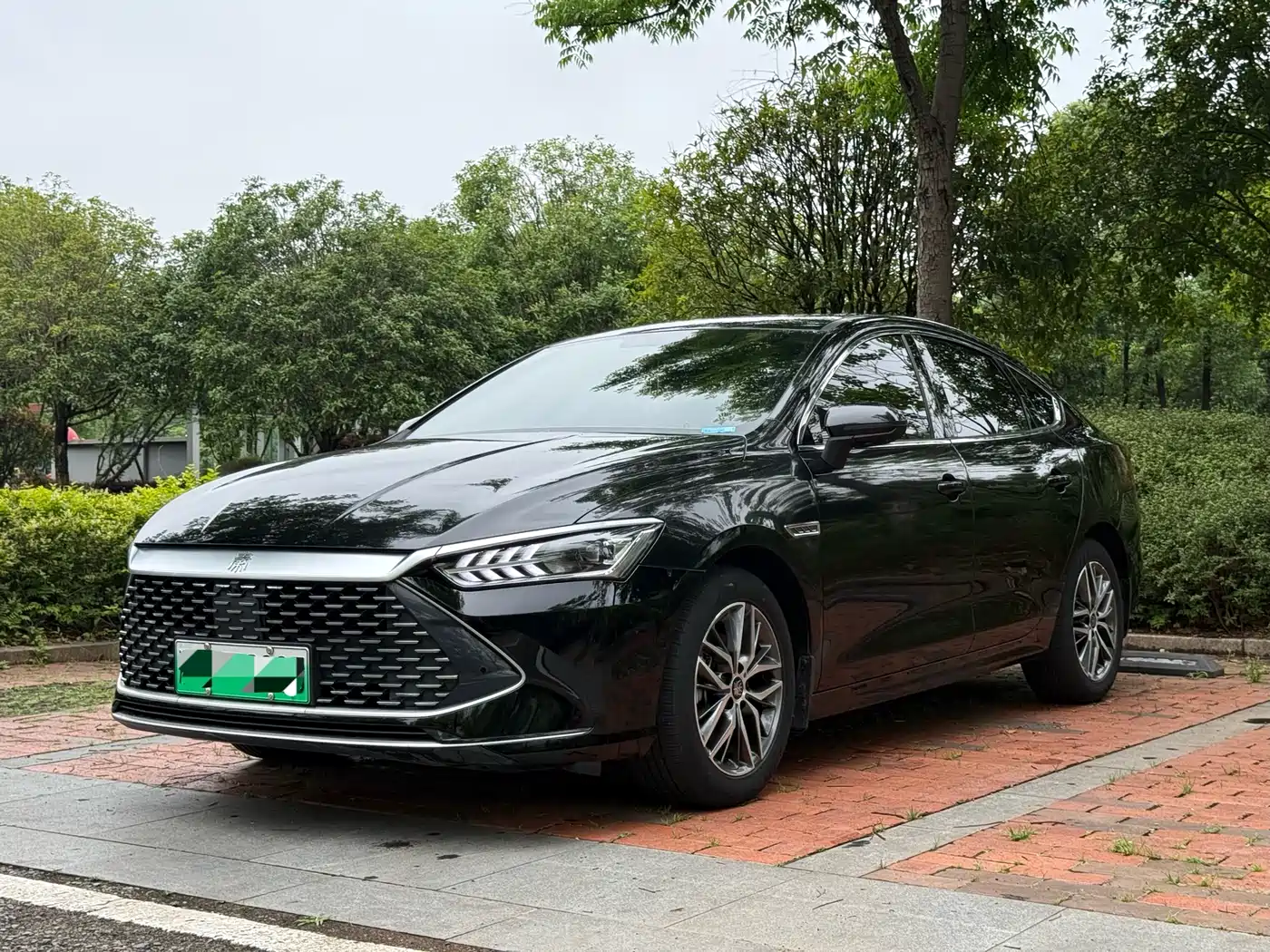BYD Qin PLUS 2023 Champion Edition DM-i 55KM Surpassing