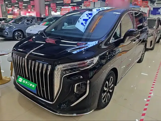 Hongqi HQ9 2023 2.0T Smart Connect Flagship