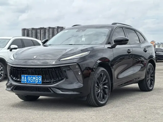 Dongfeng Fengxing T5 EVO 2021 1.5TD DCT Diamond Edition