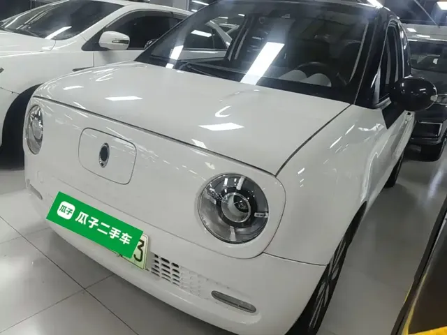 Ora Black Cat 2021 351km Luxury Model