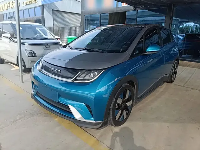 BYD Dolphin 2021 401km Knight Edition