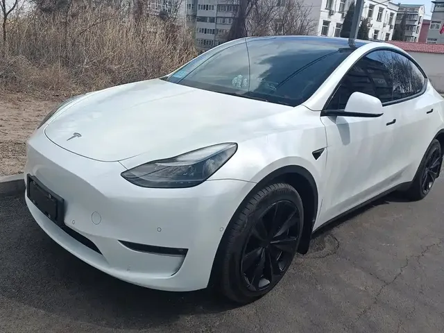 Tesla Model Y 2021 Model Long Range AWD