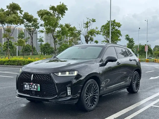 WEY P8 2018 2.0T Flagship Model