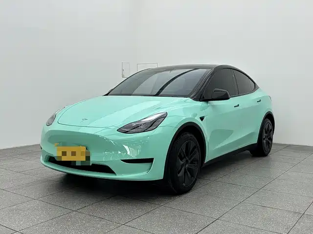 Tesla Model Y 2024 Rear-Wheel Drive Version