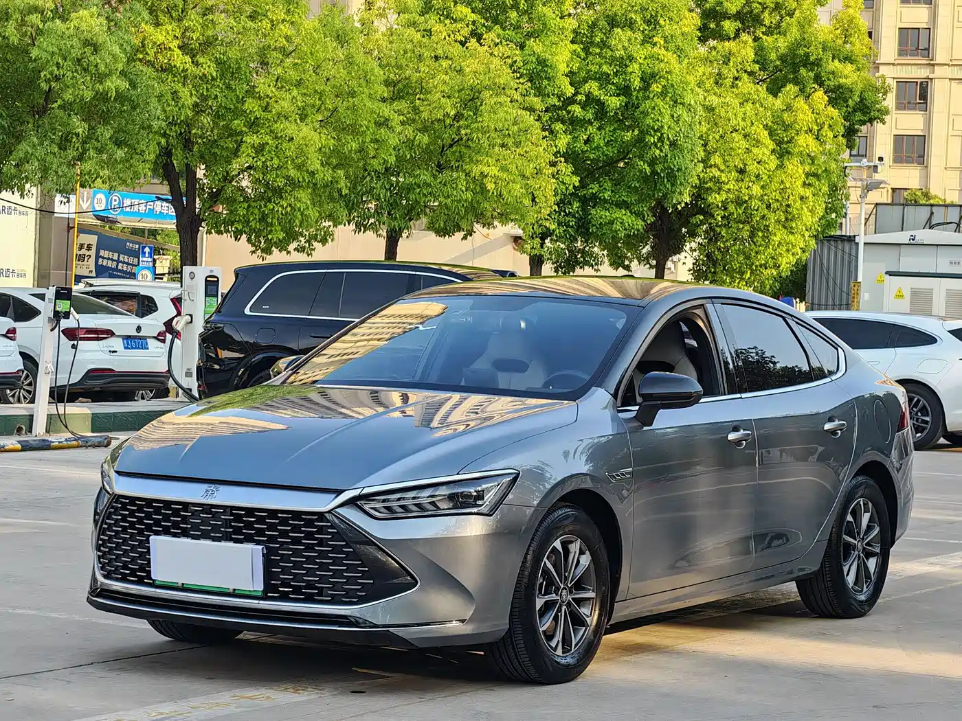 BYD Qin PLUS 2023 Champion Edition DM-i 55KM Leading