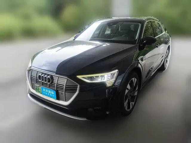 Audi e-tron (Import) 2019 55 quattro Technology
