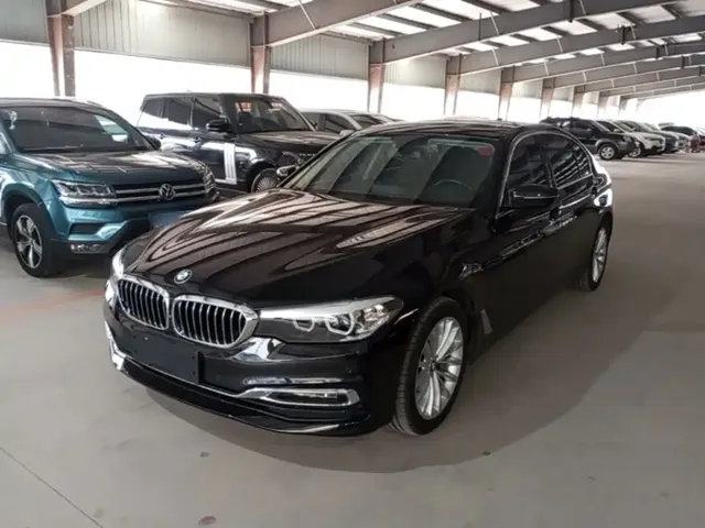 BMW 5 Series 2019 530Li xDrive Luxury Package