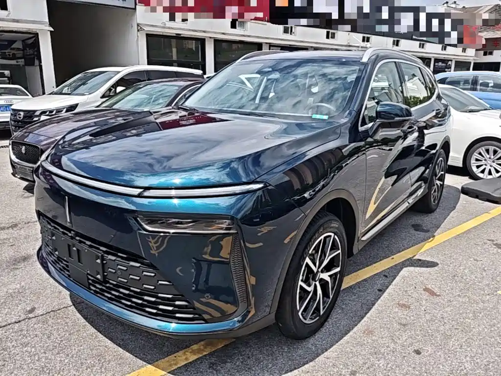 WEY Latte DHT-PHEV 2022 1.5T 2WD Large Cup