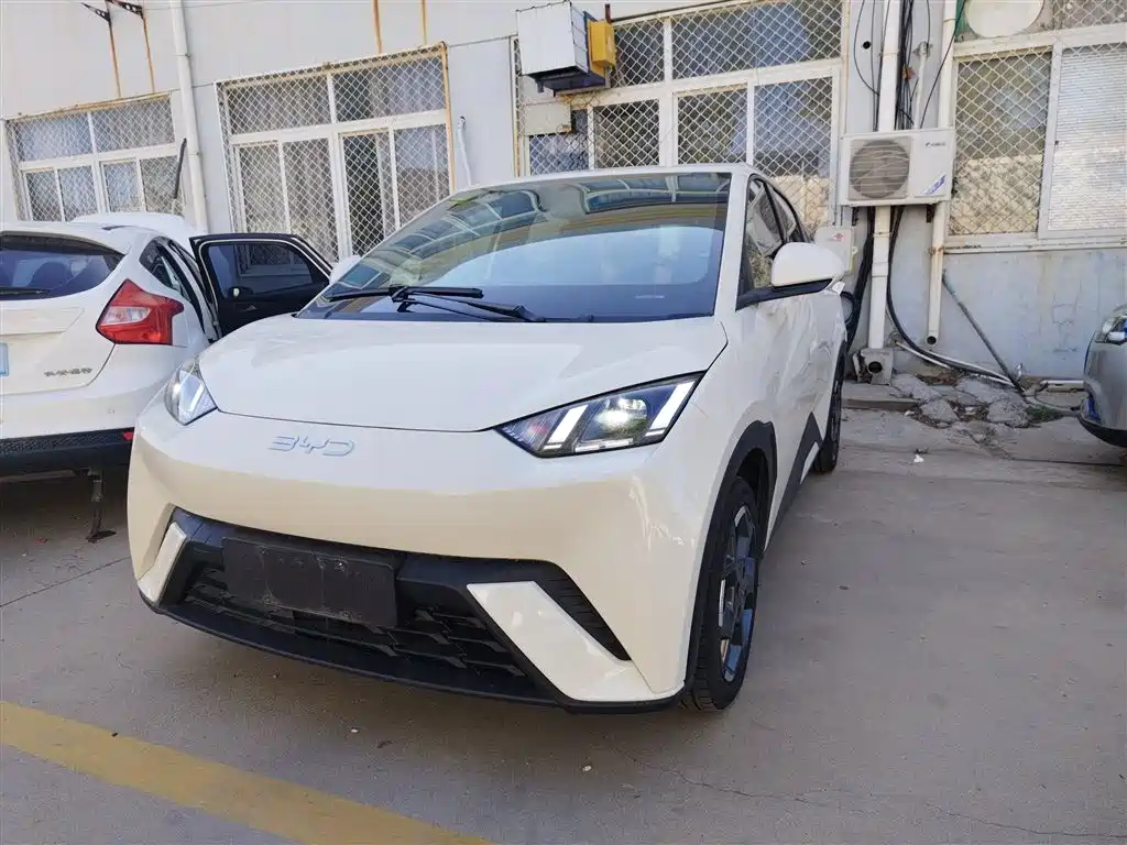 BYD Seagull 2024 Glory Edition 405km Soaring Edition