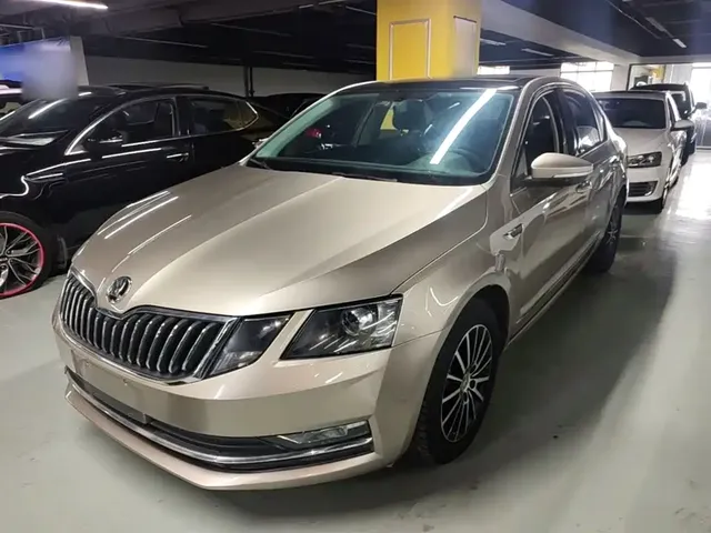 Škoda Octavia 2019 TSI230 DSG Zhixing Luxury Edition China VI