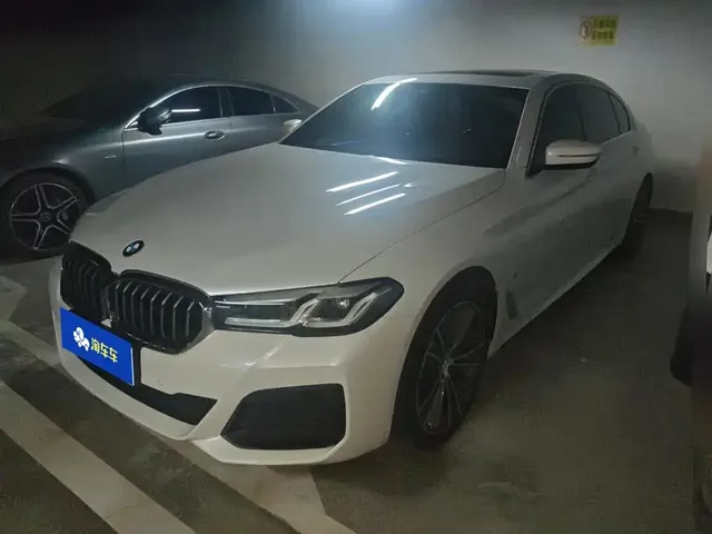 BMW 5 Series 2021 530Li Leading M Sport Package