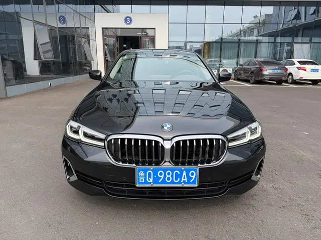 BMW 5 Series 2021 530Li Leading Luxury Package