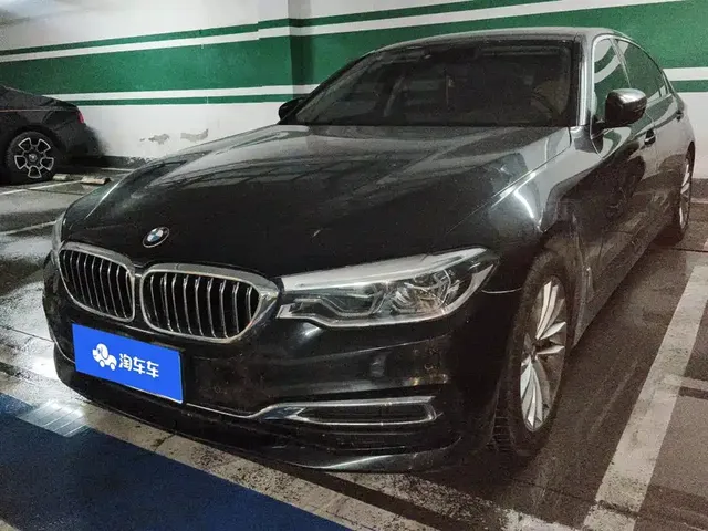 BMW 5 Series 2020 530Li xDrive Luxury Package